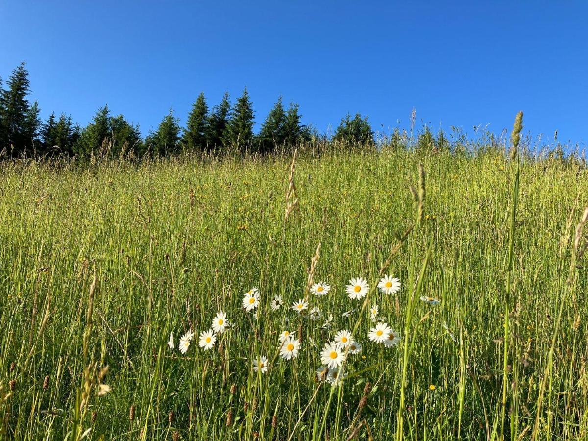 Guffertblick Achenkirch Exterior foto